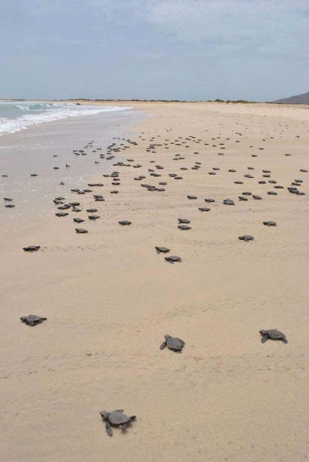 B&B Sereia Azul Boa Vista Sal Rei Dış mekan fotoğraf